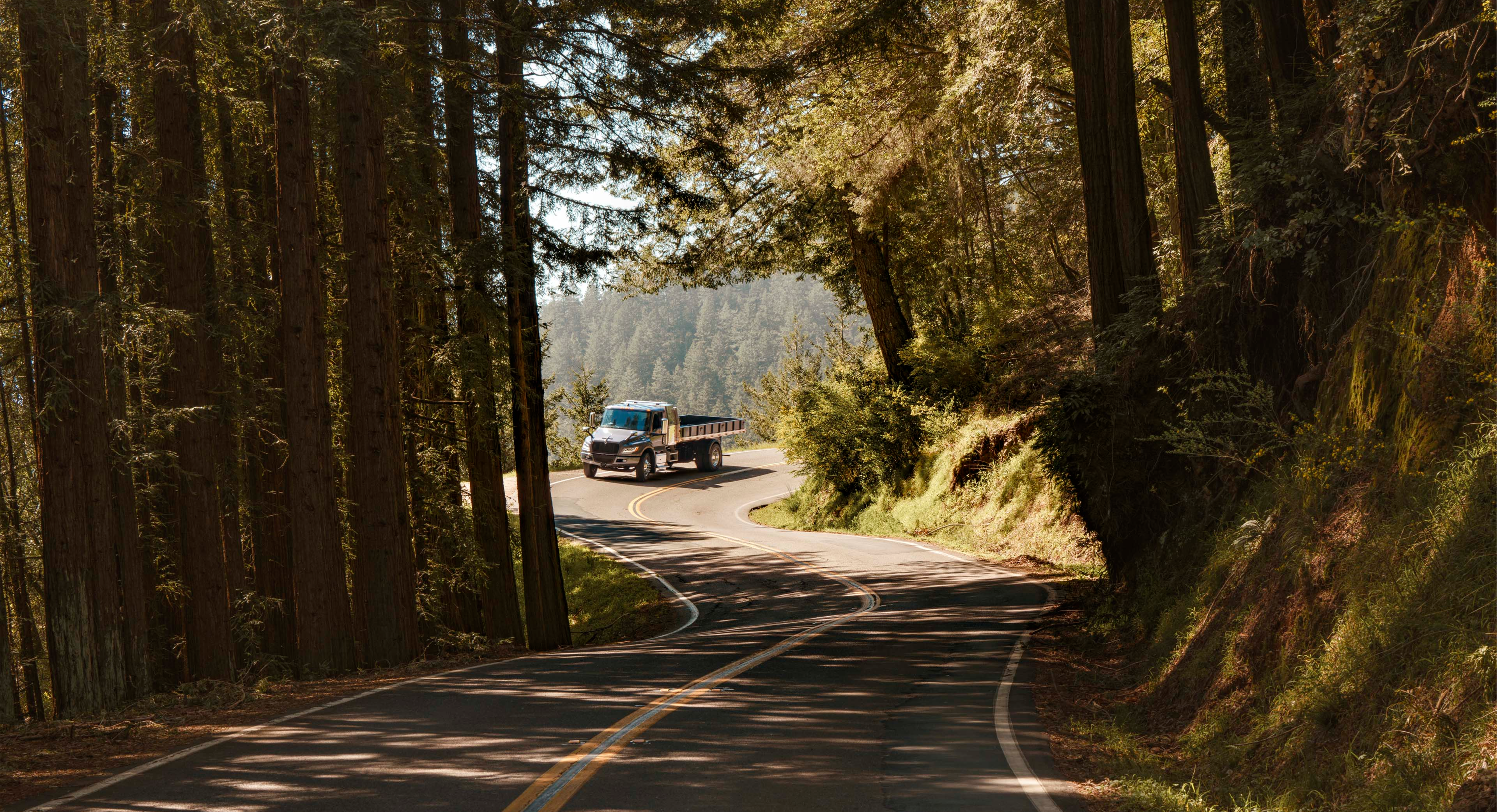 Truck on road through woods